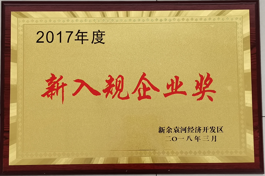 2017年度新入規企業獎